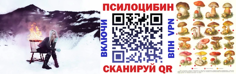закладка Чекалин Псилоцибиновые грибы Psilocybe